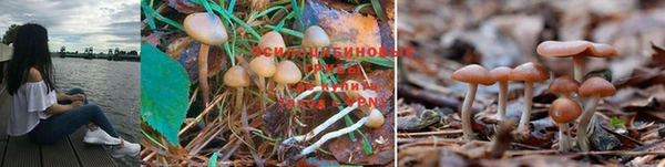 прущая мука Семёнов