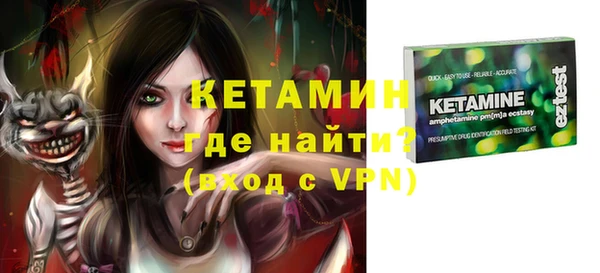 стаф Семилуки