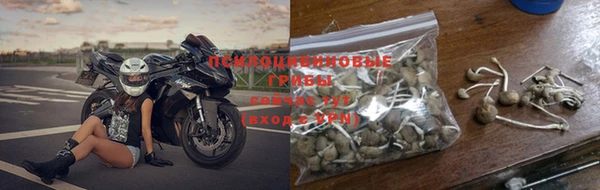 стаф Семилуки