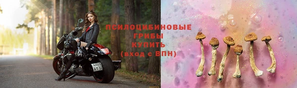 гидропоника Абаза
