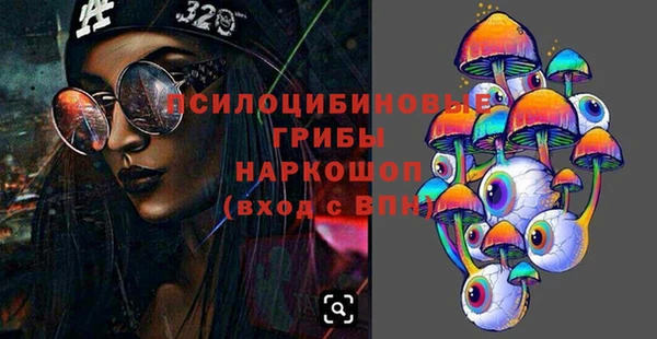 стаф Семилуки