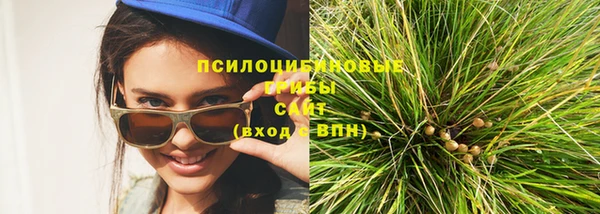 мет Снежногорск