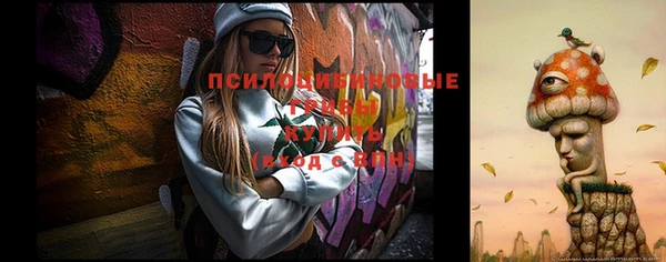 стаф Семилуки