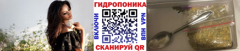 Бошки Шишки сатива Галич